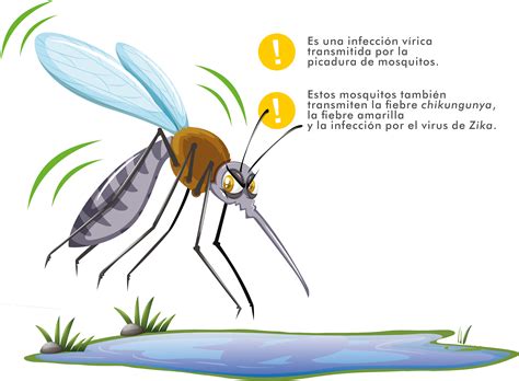 como se llama el dengue