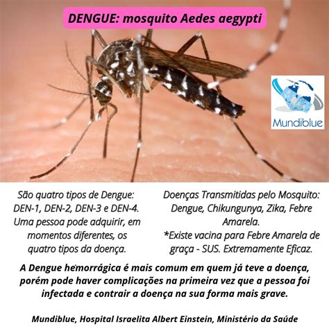 como surgiu a dengue no brasil
