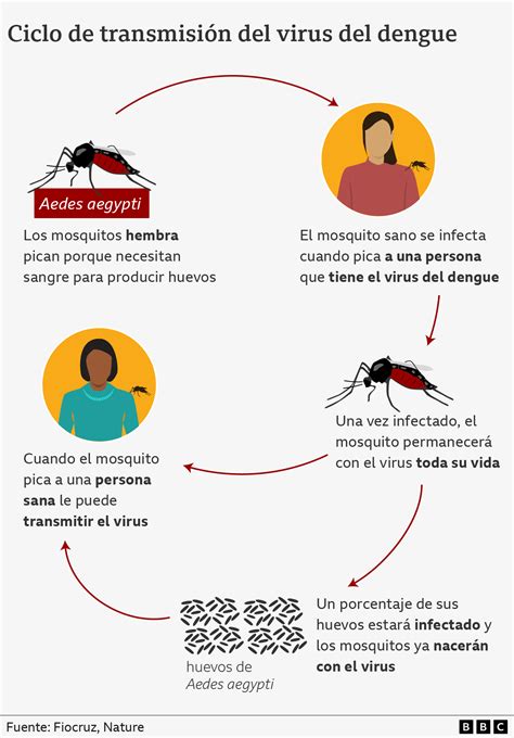 como transmite a dengue