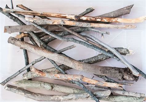 Como Tratar Palos De Madera