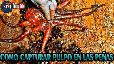 🔺 PESCANDO 🐙Pulpos y 🦑Txipirones con mucho VIENTO 🔺 YouTube