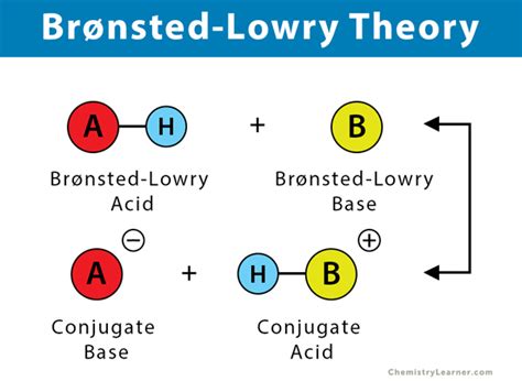 Common examples of Bronsted Lowry acid reactions