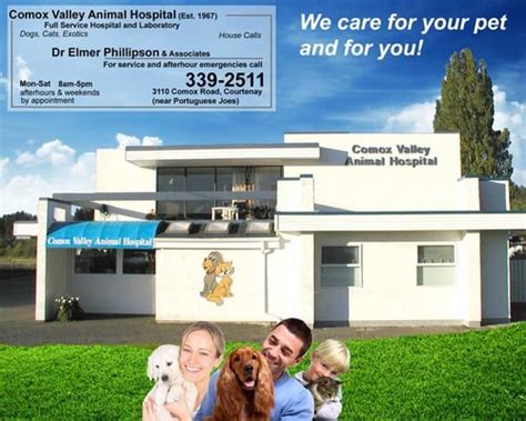 comox valley veterinary clinic