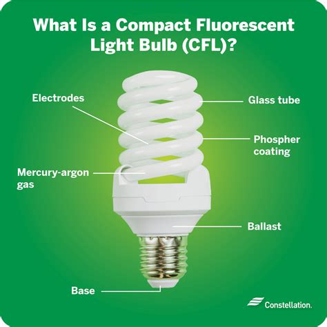 Compact Fluorescent Light Bulb Synonyms