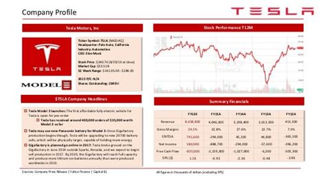 company overview of tesla