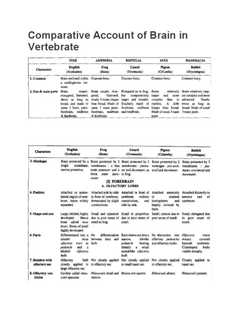 Look Comparative Account Of Brain