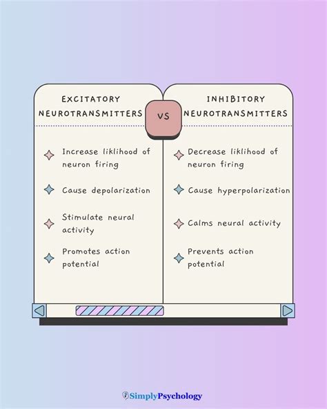 Compare And Contrast Excitatory And Inhibitory Neurotransmitters