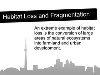 Compare And Contrast Habitat Loss And Fragmentation