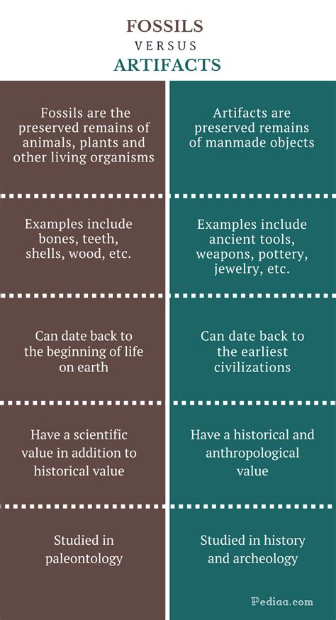Compare Fossils To Artifacts