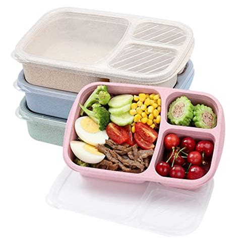 compartment lunch containers