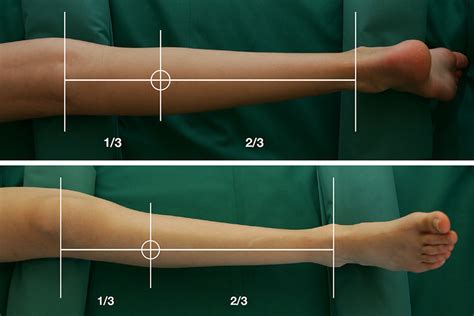 Compartment Measurement Test