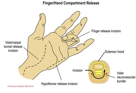 Compartment Release Hand