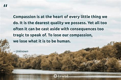 Compassion Quotes (40 wallpapers) Quotefancy