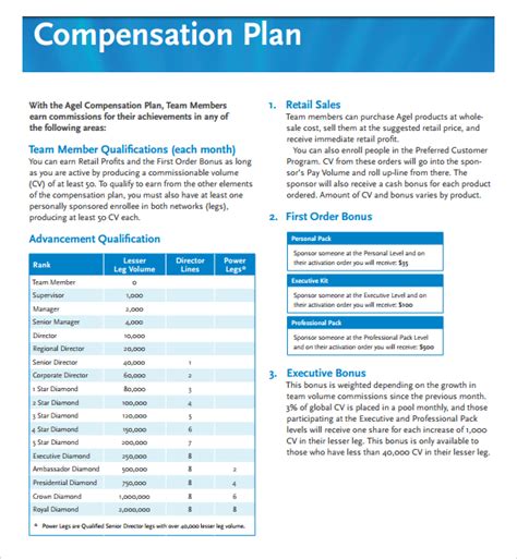8 Professional Compensation Plan Template Template Guru