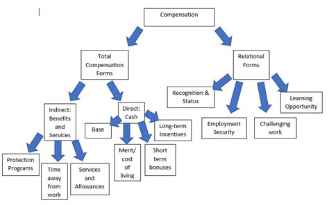 Compensation Definition Quizlet