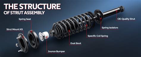 Complete Assembly Struts