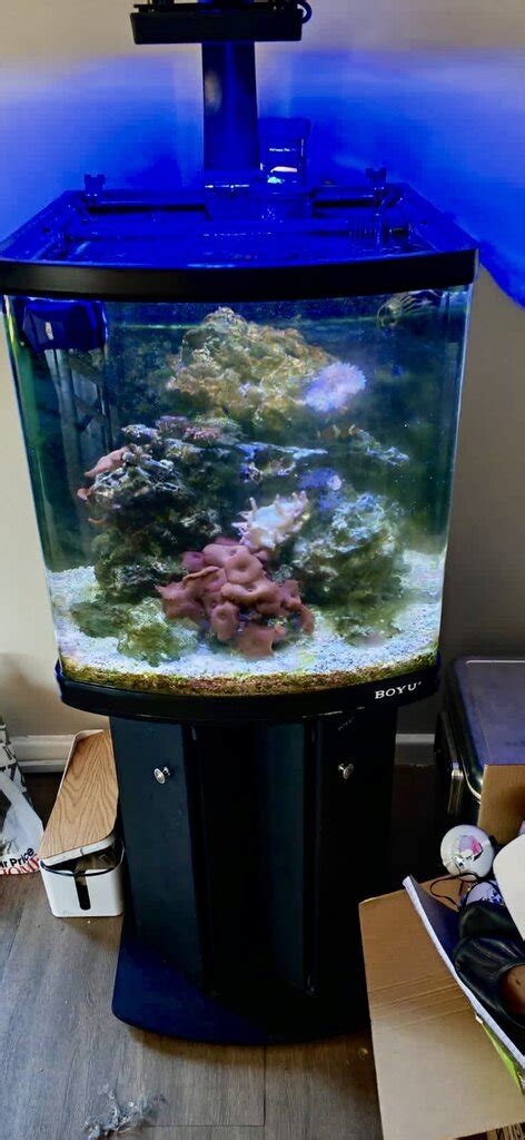 Unlock Complete Marine Solutions for Superior Performance and Efficiency