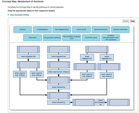Complete The Concept Map To Identify Pathways Of Nutrient Digestion