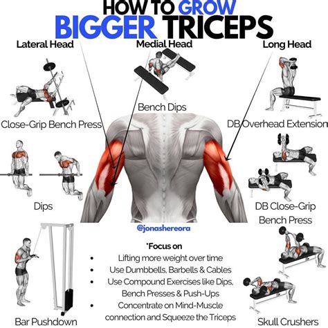 Complete Tricep Exercises