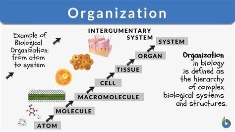 complexity of organism that uses this method