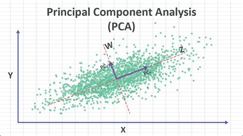 component analysis example