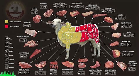 componentes de la carne de res