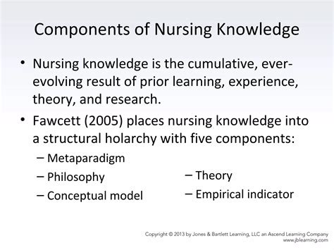 Components And Levels Of Abstraction In Nursing Knowledge