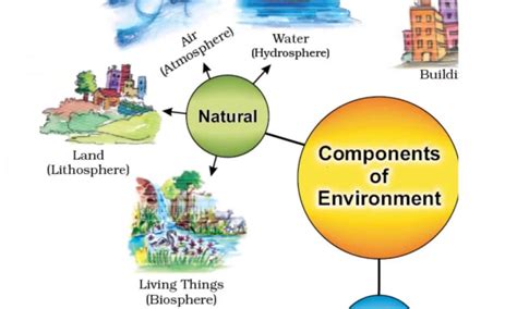 components meaning in science