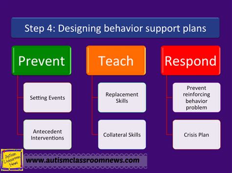components of a behavior support plan
