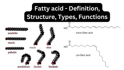 Components Of A Fatty Acid