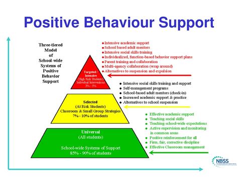 components of a positive behaviour support plan
