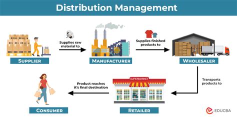 Components Of Distribution In Management