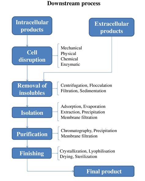 components of downstream processing class 12