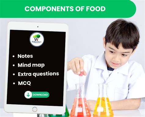 components of food class 6 notes questions and answers
