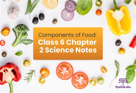 components of food class notes
