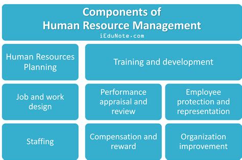 Components Of Human Resources