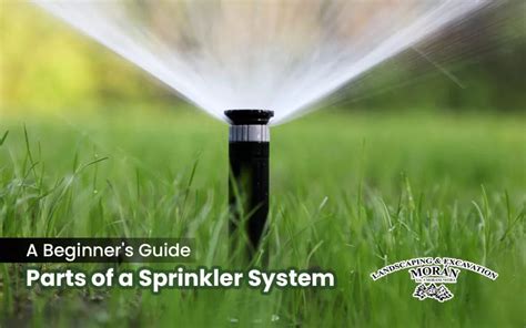 Components Of Lawn Sprinkler System