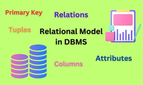 components of relational data model in dbms