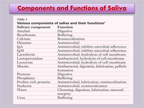 components of saliva and functions