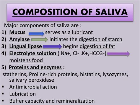 components of saliva and their functions
