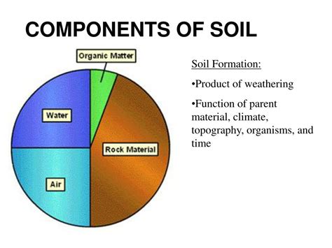 components of soil and their functions