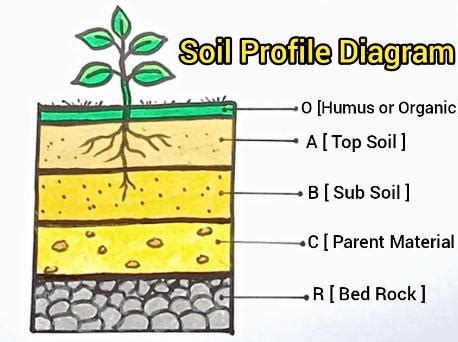 components of soil diagram with explanation