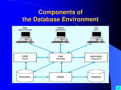 components of the database environment