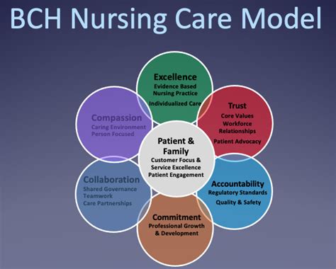 components of value based education in nursing