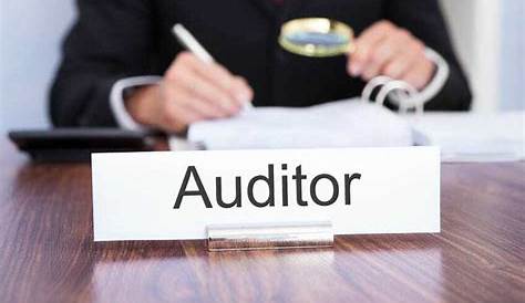 ᐈ Requisitos para Ser Auditor 【Funciones, Salario y MÁS】