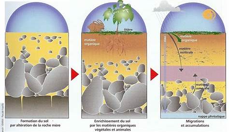 Evolution de la composition physicochimique du sol dans