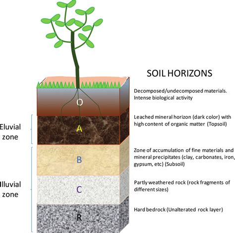 composition of soil profile