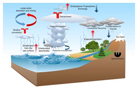 composition of water vapour in atmosphere