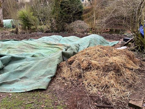 compost