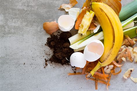 Beginner's Guide to Composting in Atlanta Atlanta Parent